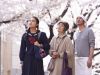 Un printemps au Japon - les délices de Tokyo